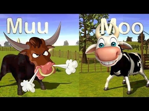 La Vaca Lola el Toro Enfadado y la Vaca Feliz  (parody vieo) must watch