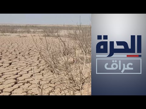 شاهد بالفيديو.. الجفاف يدفع مزارعي ديالى إلى استخدام أساليب الري الحديثة
