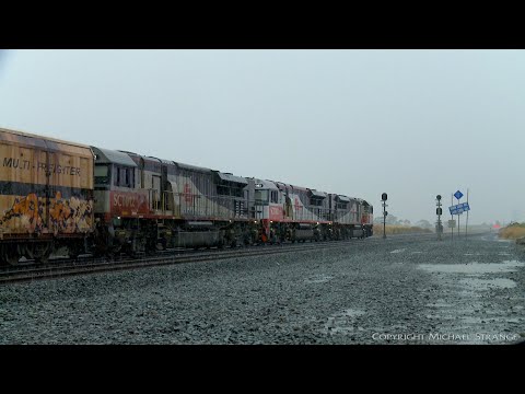 5MP9 SCT Freight Train In Rain (29/1/2021) - PoathTV Australian Trains & Railways