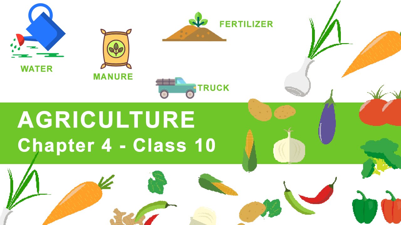 Agriculture - Chapter 4 Geography NCERT Class 10