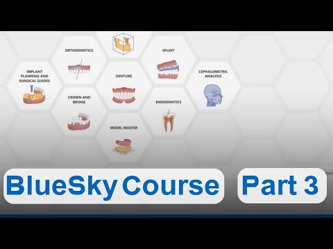 BlueSky Course: From Planning to Surgical Guide Fabrication| Part 3