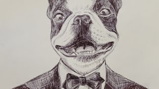 Pen Pet Portrait