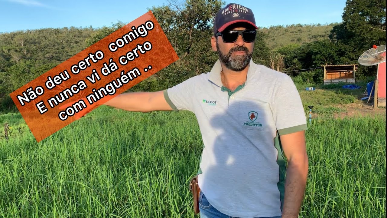 AS TRÊS TÉCNICAS QUE NÃO DERAM CERTO NA PECUÁRIA LEITEIRA 🤷🏻‍♂️