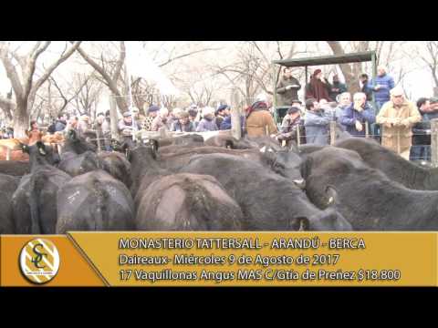 09-08-07 Venta Vaquillonas Angus MAS (Negras) - Monasterio Tattersall - Daireaux