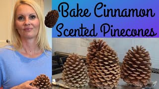 Bake PINECONES Cinnamon smell scented pine cones - kill bugs before CRAFTS with MOODY BLOOMS