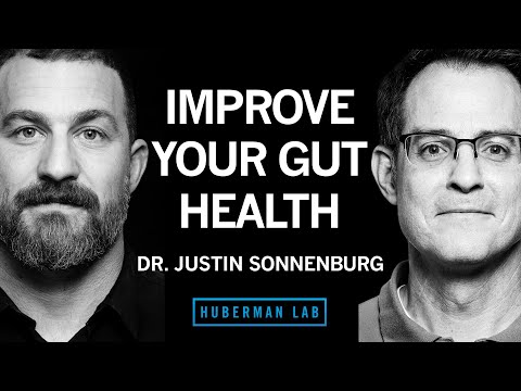 Unlocking the Wonders of the Gut Microbiome