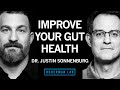 Dr. Justin Sonnenburg: How to Build, Maintain & Repair Gut Health | Huberman Lab Podcast #62