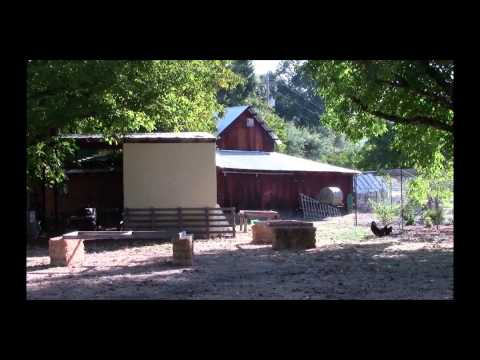 Organic Walnuts: Getting Ready for the Walnut Harvest at Da