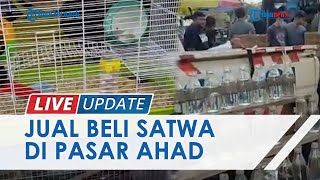 Bayi Monyet Pun Dijual, Melihat Jual Beli Satwa di Pasar Ahad Kertak Hanyar Kabupaten Banjar