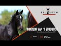 Windsor van 't Studutch