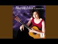 American Landscapes for Guitar and Orchestra: Part I - Slow and Free: Andante - Allegro vivace...