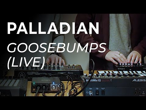 PALLADIAN - Goosebumps (Live)