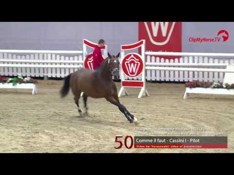 50  Comme il faut - Cassini I - Pilot