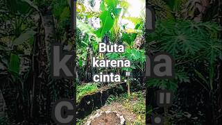 Download lagu Buta karena cinta #ffyp #shorts #quotes #viralvideo mp3