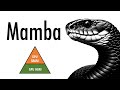 Mamba - a replacement for Transformers?
