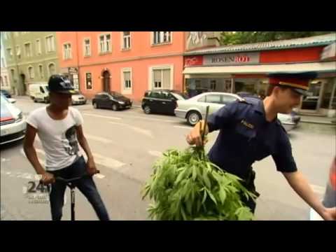 Ist das Ganja?