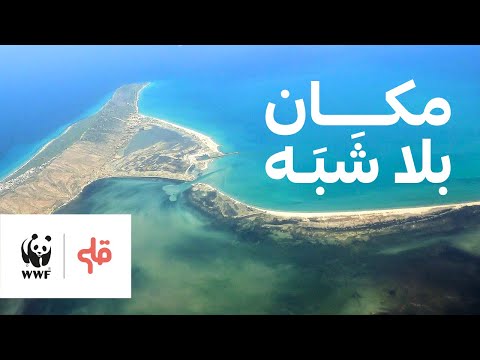 موقع فريد في العالم .. موجود في تونس
