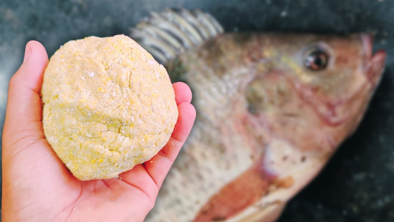 🔥Essa MASSINHA foi REVELADA por um BIÓLOGO e faz muito SUCESSO na PESCARIA