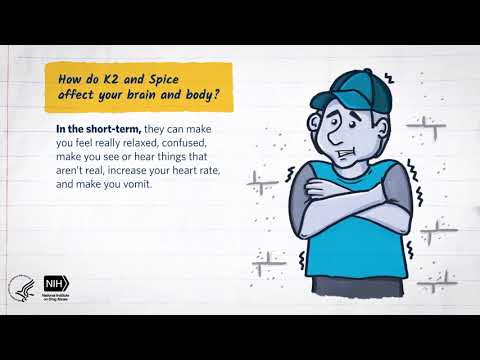 Mind Matters: The Body’s Response to K2/Spice