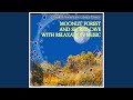 Nature Sounds with Music: Moonlit Forest and Secret Cave with Relaxation Music