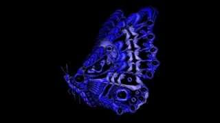 deep purple somewhere over the rainbow (lupa)