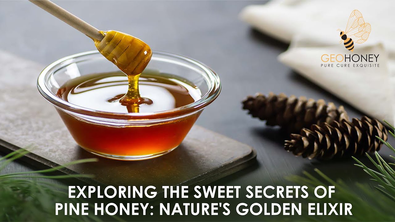 Discover the Secrets and Unique Taste of Pine Honey | Geohoney