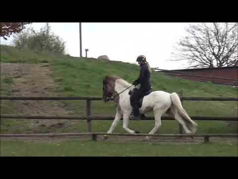 FIZO Kronshof - 30.04. & 01.05.2021 - Nachlese Teil II von II