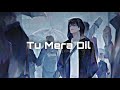 Tu Mera Dil Slowed Reverbed Falak Shabir