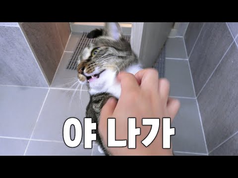 프라이버시란 없는 우리집...