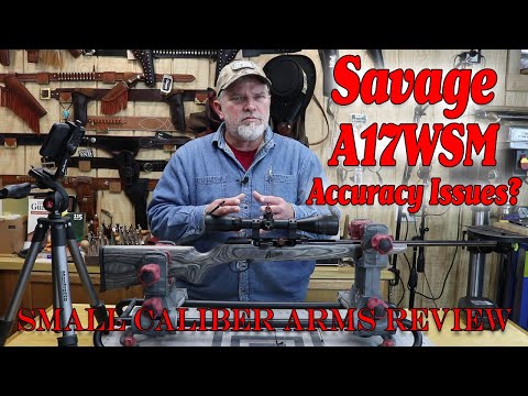 SAVAGE BMAG TARGET 17 WSM REVIEW