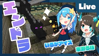 - 【マイクラ】待ってろエンドラ!ボカロP 市瀬るぽ&いるかアイスのマイクラ【#いるるぽマイクラ】
