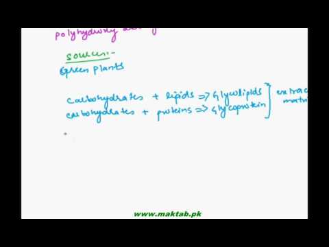 FSC Biology Book1, CH 2, LEC 3: Carbohydrates (Part1)