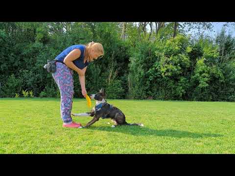 Obi 1 Kimbo - Target flach