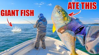 The Most INSANE Fish Migration On The Whole East Coast!