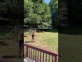 Alex Pereira with pinpoint accuracy ?