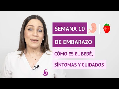 ¿Cómo es la semana 10 de embarazo? ¿Qué cambios hay en el feto y en la madre?