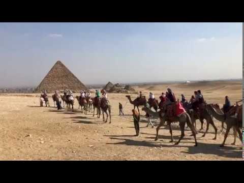 Hello Egypt Tours Group camel ride at Giza pyramids