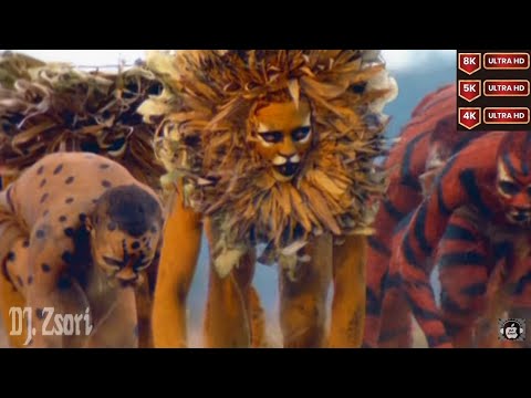 Dario G. - Sunchyme (1997) Official Music Video