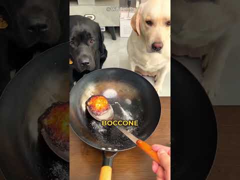 Perché questi cani hanno bisogno di un cetriolo enorme!