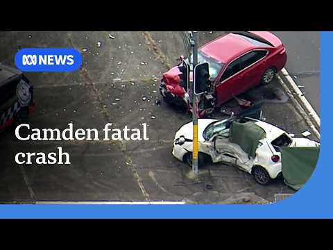 Two people killed in crash after police pursuit in Sydney’s southwest | ABC NEWS