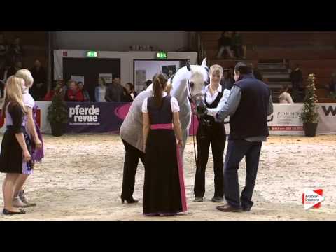 2nd Place N.66 BINT TAHANIE - Wels 2015 - National Sr Mares Championship (Class 17)