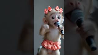 Download lagu Lucunya Monyet Nyanyi Pakai Pita ❤️ #funny #shorts mp3