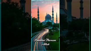 Download lagu Engum Ulla Allah | Tamil Islamic Song | S. P. Balasubrahmanyam and Nagore E. M. Hanifa mp3