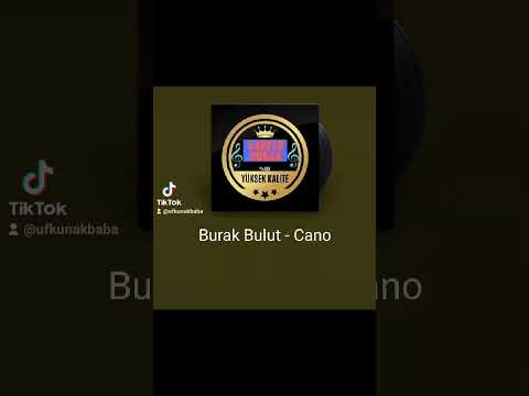 seni benden aldılar kopardılar