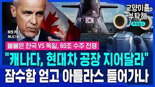 [지식뉴스] "캐나다, 현대차 공장 지어줘!" 잠수함 얻고 로봇 '아틀라스' 들어가나...불붙은 한국 vs 독일의 60조 수주 대전쟁 / 교양이를 부탁해