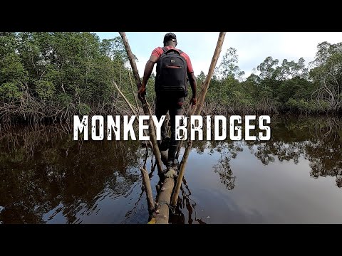 BUSH LIFE Monkey Bridges