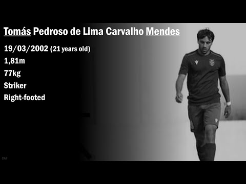 Tomás Mendes - Highlights 2021/2022 and 2022/2023