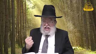 דף היומי בחצי שעה – סנהדרין דף מ”ו