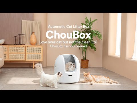 ChouBox: A Perfect Automatic Litter Box-GadgetAny