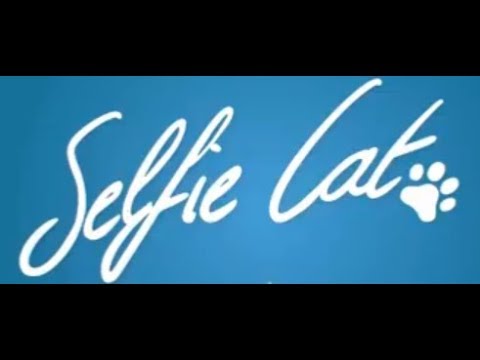 Selfie Cat  -- Animated Short Film